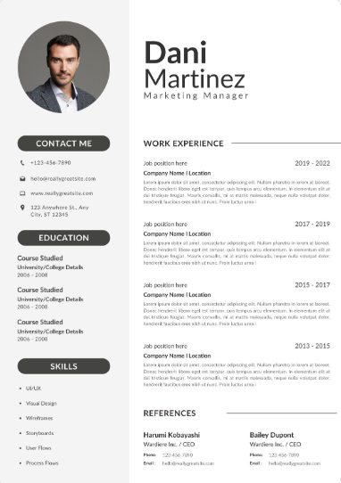 Professional CV Sample 45